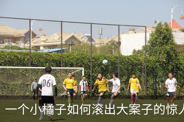 一个小橘子如何滚出大案子的惊人内幕